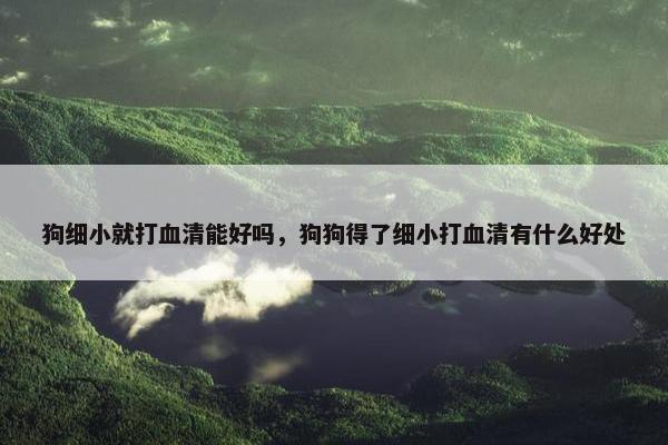狗细小就打血清能好吗，狗狗得了细小打血清有什么好处