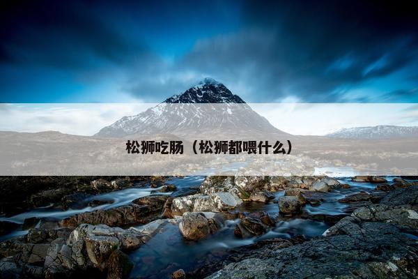 松狮吃肠（松狮都喂什么）