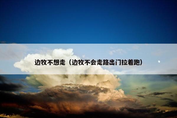边牧不想走（边牧不会走路出门拉着跑）