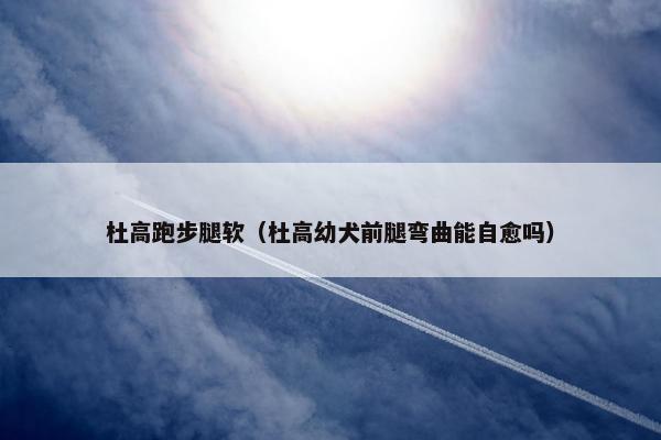 杜高跑步腿软（杜高幼犬前腿弯曲能自愈吗）