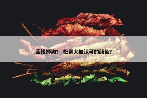 蓝松狮狗？ 松狮犬被认可的颜色？