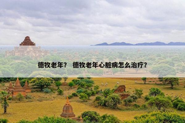 德牧老年？ 德牧老年心脏病怎么治疗？