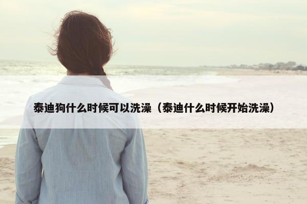 泰迪狗什么时候可以洗澡（泰迪什么时候开始洗澡）