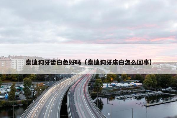 泰迪狗牙齿白色好吗（泰迪狗牙床白怎么回事）