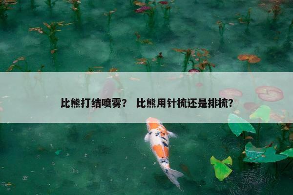 比熊打结喷雾？ 比熊用针梳还是排梳？