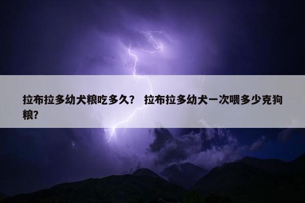 拉布拉多幼犬粮吃多久？ 拉布拉多幼犬一次喂多少克狗粮？