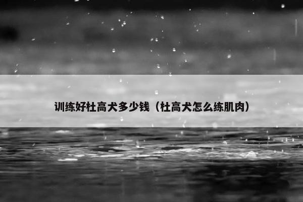 训练好杜高犬多少钱（杜高犬怎么练肌肉）