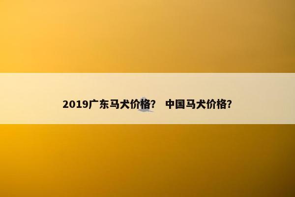 2019广东马犬价格？ 中国马犬价格？