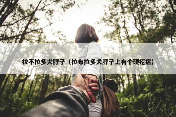 拉不拉多犬脖子（拉布拉多犬脖子上有个硬疙瘩）