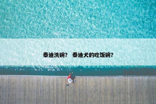 泰迪洗碗？ 泰迪犬的吃饭碗？