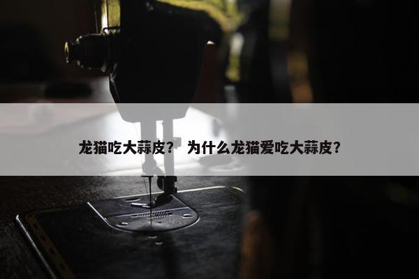 龙猫吃大蒜皮？ 为什么龙猫爱吃大蒜皮？