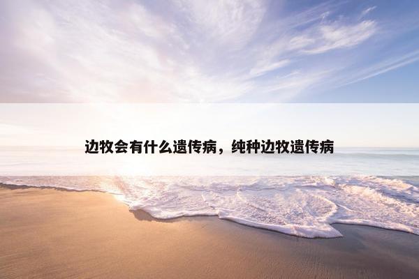 边牧会有什么遗传病，纯种边牧遗传病