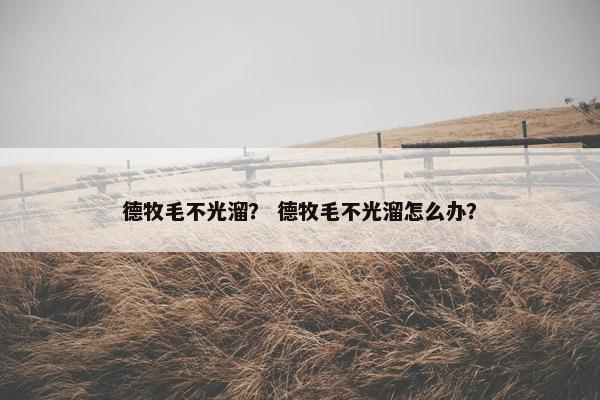 德牧毛不光溜？ 德牧毛不光溜怎么办？