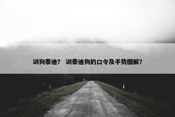 训狗泰迪？ 训泰迪狗的口令及手势图解？