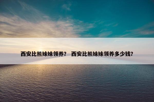 西安比熊妹妹领养？ 西安比熊妹妹领养多少钱？