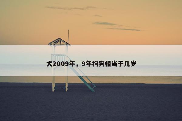 犬2009年，9年狗狗相当于几岁