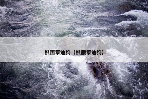 熊面泰迪狗（熊版泰迪狗）
