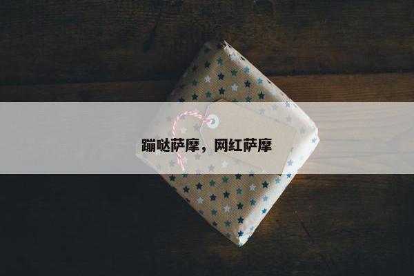 蹦哒萨摩，网红萨摩