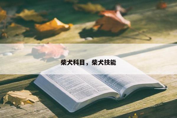 柴犬科目，柴犬技能