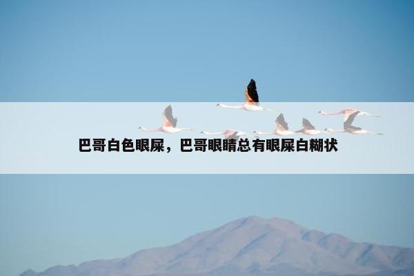 巴哥白色眼屎，巴哥眼睛总有眼屎白糊状
