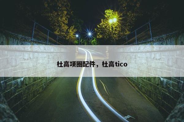 杜高项圈配件，杜高tico