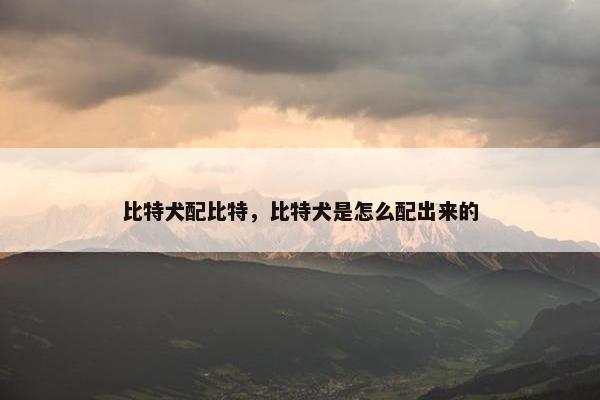 比特犬配比特，比特犬是怎么配出来的
