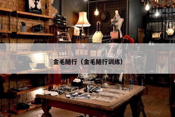 金毛随行（金毛随行训练）