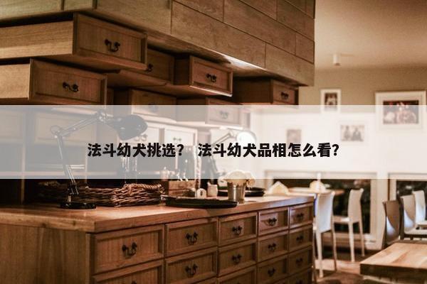 法斗幼犬挑选？ 法斗幼犬品相怎么看？