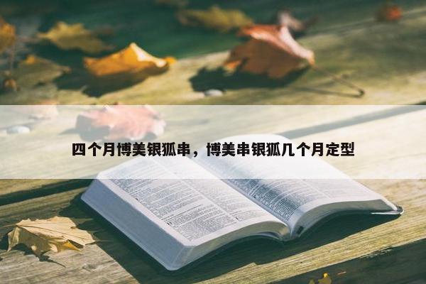 四个月博美银狐串，博美串银狐几个月定型