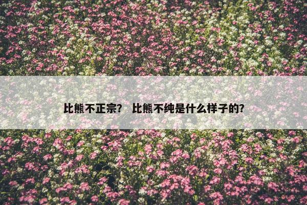 比熊不正宗？ 比熊不纯是什么样子的？