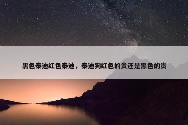 黑色泰迪红色泰迪，泰迪狗红色的贵还是黑色的贵