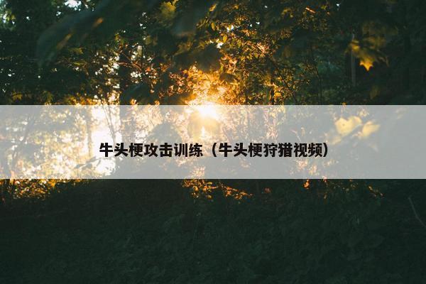 牛头梗攻击训练（牛头梗狩猎视频）