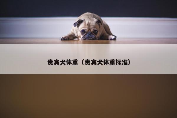 贵宾犬体重（贵宾犬体重标准）