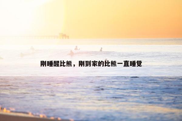 刚睡醒比熊，刚到家的比熊一直睡觉