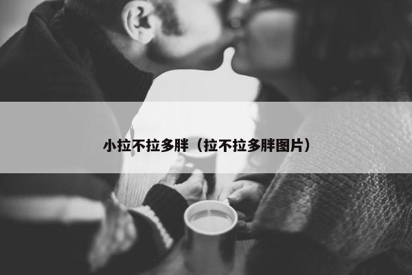 小拉不拉多胖（拉不拉多胖图片）