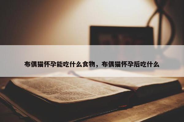 布偶猫怀孕能吃什么食物，布偶猫怀孕后吃什么