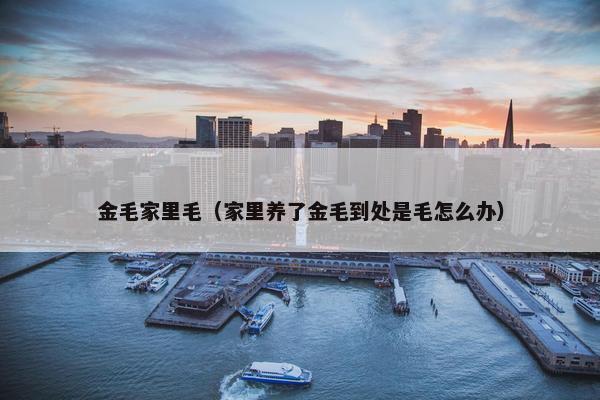 金毛家里毛（家里养了金毛到处是毛怎么办）