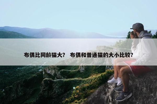 布偶比同龄猫大？ 布偶和普通猫的大小比较？