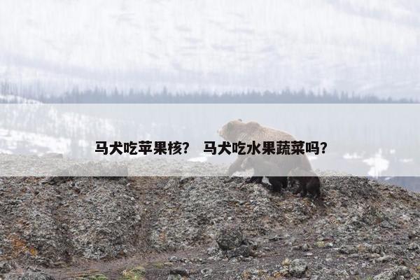马犬吃苹果核？ 马犬吃水果蔬菜吗？