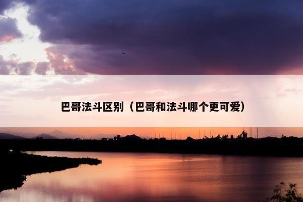 巴哥法斗区别（巴哥和法斗哪个更可爱）