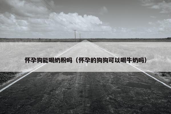 怀孕狗能喝奶粉吗（怀孕的狗狗可以喝牛奶吗）