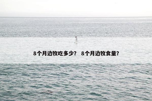 8个月边牧吃多少？ 8个月边牧食量？