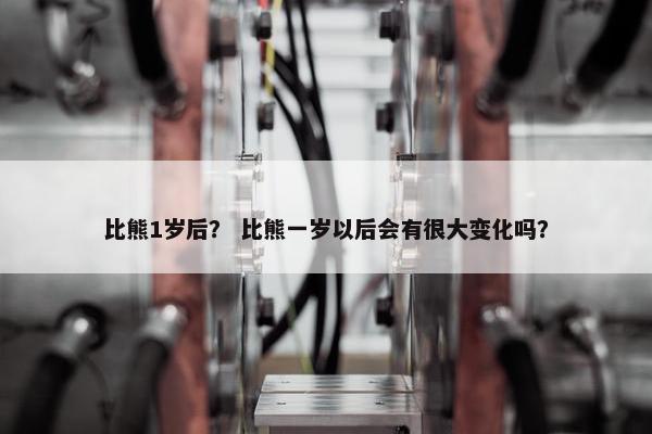 比熊1岁后？ 比熊一岁以后会有很大变化吗？