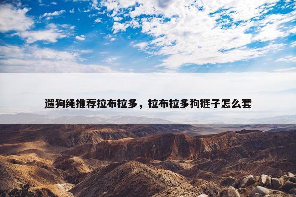遛狗绳推荐拉布拉多，拉布拉多狗链子怎么套