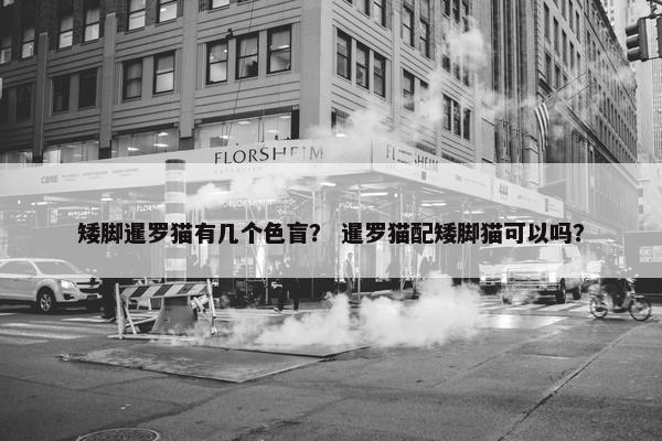 矮脚暹罗猫有几个色盲？ 暹罗猫配矮脚猫可以吗？