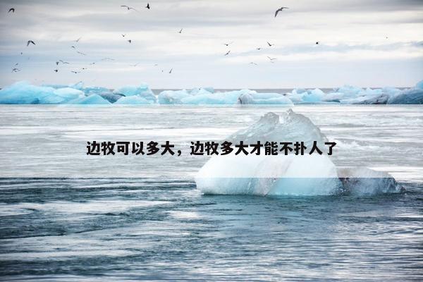 边牧可以多大，边牧多大才能不扑人了