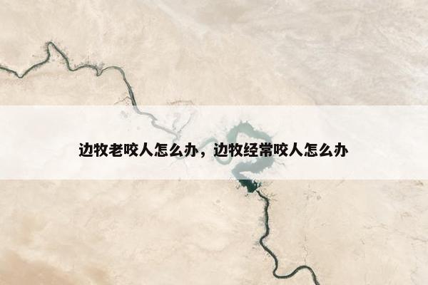 边牧老咬人怎么办，边牧经常咬人怎么办
