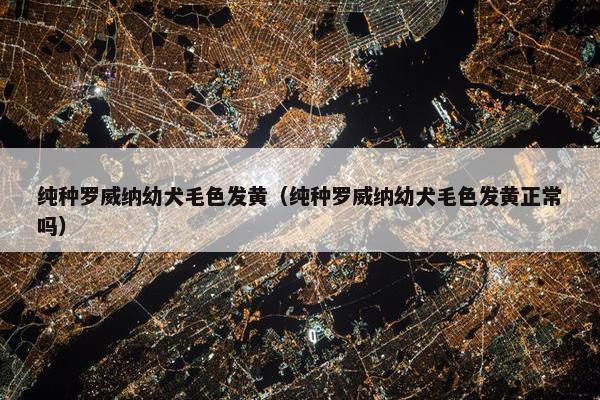 纯种罗威纳幼犬毛色发黄（纯种罗威纳幼犬毛色发黄正常吗）