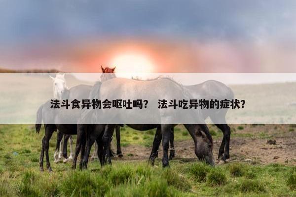 法斗食异物会呕吐吗？ 法斗吃异物的症状？