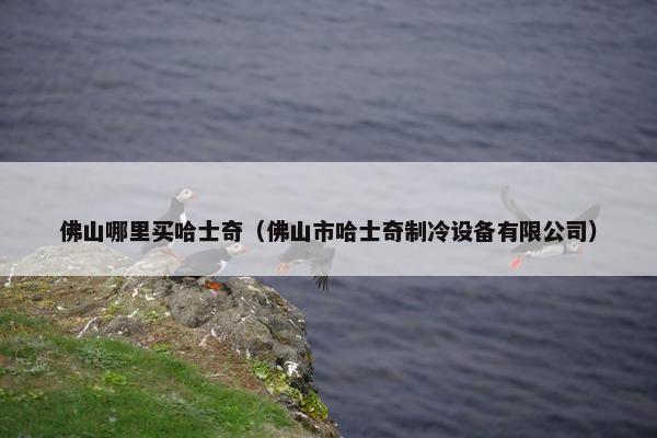 佛山哪里买哈士奇（佛山市哈士奇制冷设备有限公司）